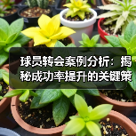 球员转会案例分析:揭秘成功率提升的关键策略-图5 球员转会案例分析:揭秘成功率提升的关键策略-图5