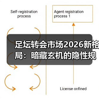 足坛转会市场2026新格局:暗藏玄机的隐性规则?-图3 足坛转会市场2026新格局:暗藏玄机的隐性规则?-图3