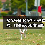 足坛转会市场2026新格局:暗藏玄机的隐性规则?-图2 足坛转会市场2026新格局:暗藏玄机的隐性规则?-图2