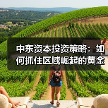 中东资本投资策略:如何抓住区域崛起的黄金机遇?-图4 中东资本投资策略:如何抓住区域崛起的黄金机遇?-图4