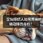 足坛经纪人如何用策略撬动球员身价?-图2 足坛经纪人如何用策略撬动球员身价?-图2