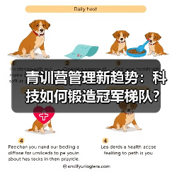 青训营管理新趋势:科技如何锻造冠军梯队?-图4 青训营管理新趋势:科技如何锻造冠军梯队?-图4