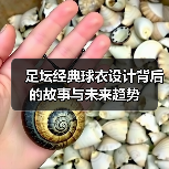 足坛经典球衣设计背后的故事与未来趋势-图4 足坛经典球衣设计背后的故事与未来趋势-图4