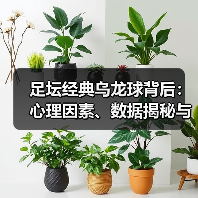 足坛经典乌龙球背后:心理因素、数据揭秘与逆转真相-图4 足坛经典乌龙球背后:心理因素、数据揭秘与逆转真相-图4