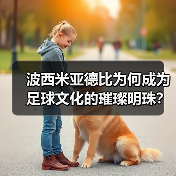 波西米亚德比为何成为足球文化的璀璨明珠?-图5 波西米亚德比为何成为足球文化的璀璨明珠?-图5