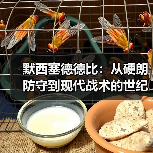默西塞德德比:从硬朗防守到现代战术的世纪对决-图4 默西塞德德比:从硬朗防守到现代战术的世纪对决-图4