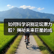 如何科学识别足坛潜力股?揭秘未来巨星的成长密码-图5 如何科学识别足坛潜力股?揭秘未来巨星的成长密码-图5