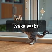 Waka Waka-图2 Waka Waka-图2