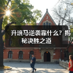 足坛流浪球员如何突破逆境？坚持与机遇的双轨法则-图6