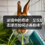 逆境中的奇迹：足坛励志球员如何逆袭巅峰？-图6