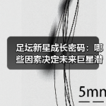 清道夫门将战术如何颠覆传统防线？-图6